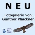 Bilder von Günther Plaickner